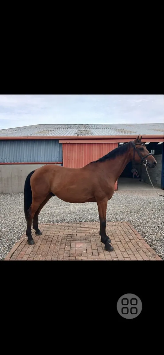 Lot 377 Goresbridge - Image 1