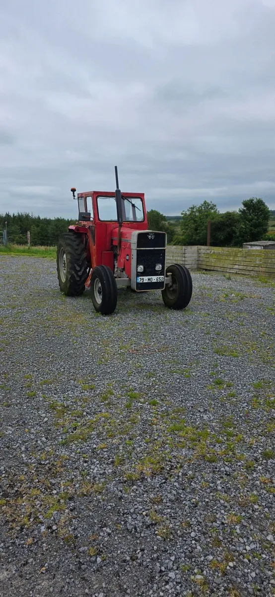 Massey Ferguson Other 1979 - Image 2