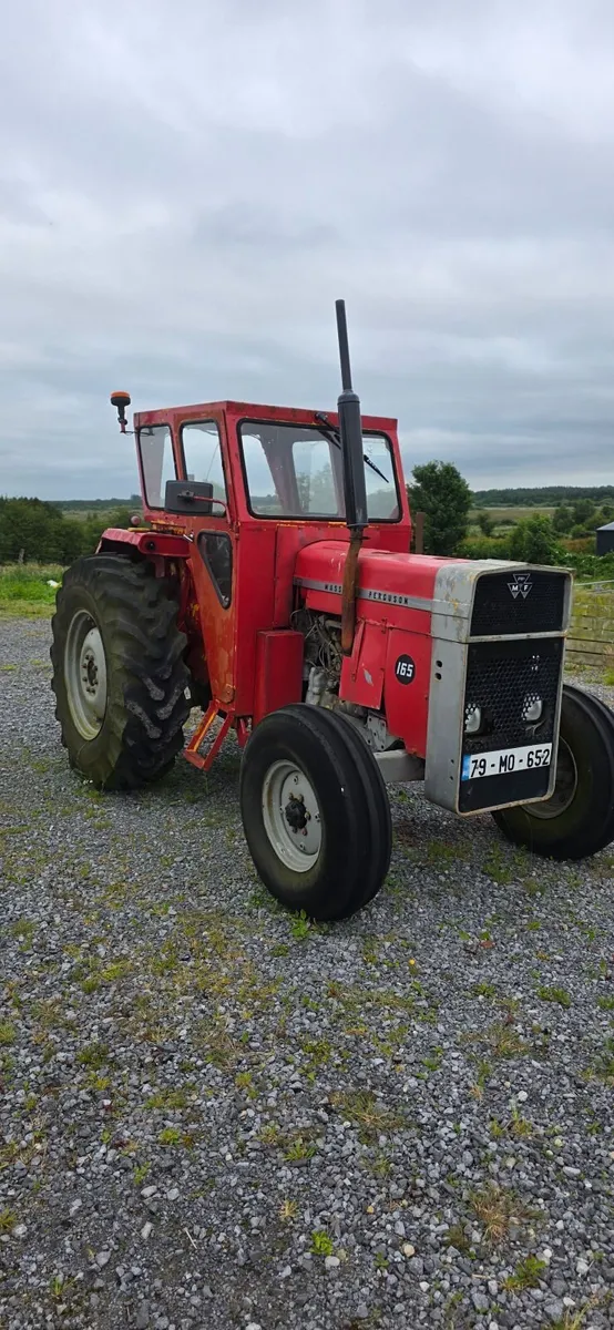 Massey Ferguson Other 1979 - Image 4