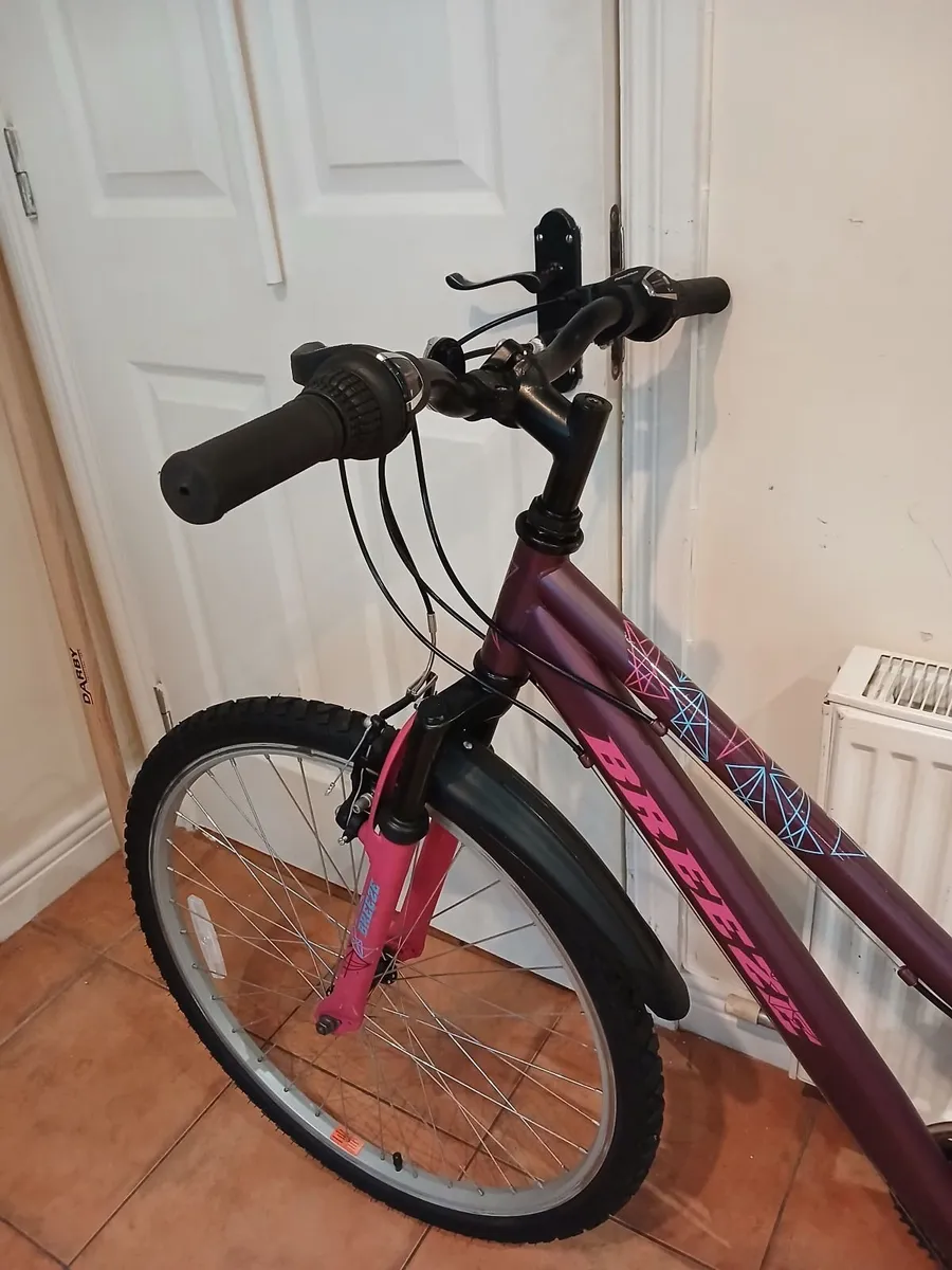 Bicycle - Image 2