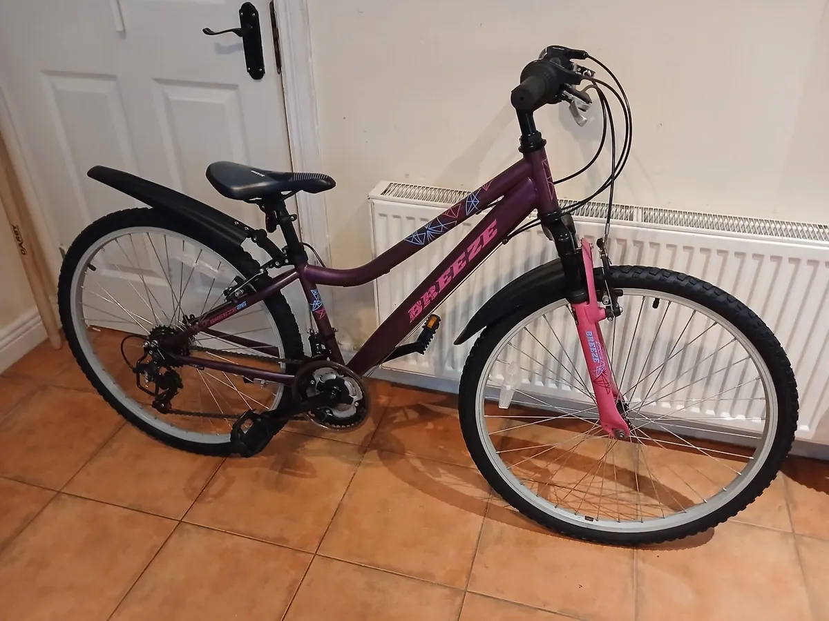 Bicycle - Image 4