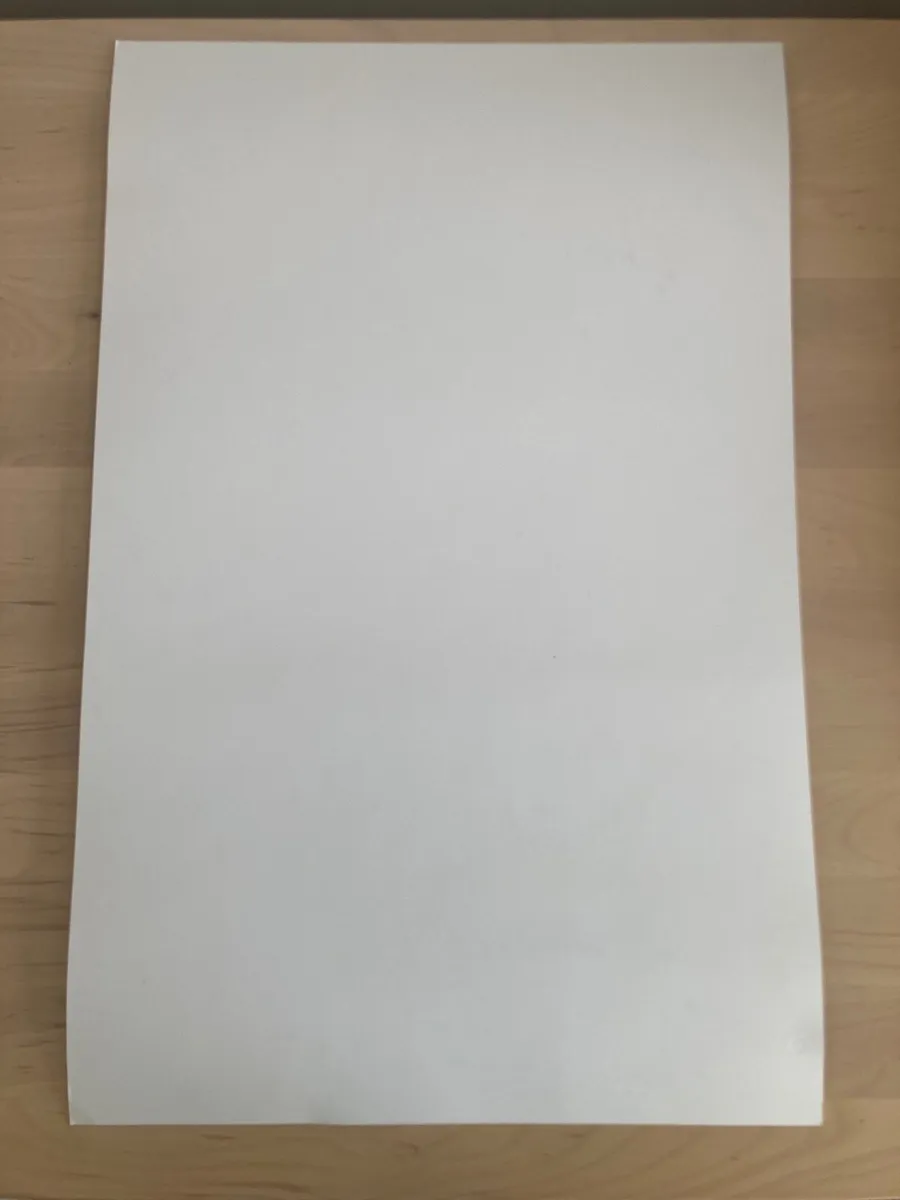 Ariana Grande Ltd Ed US Record Store Poster - Image 2