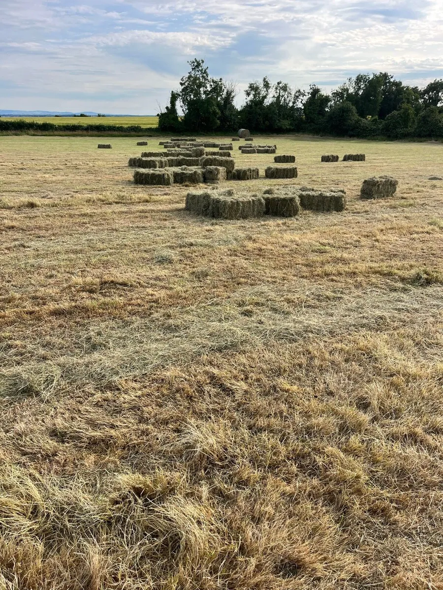 Small square Hay and Round - Image 4