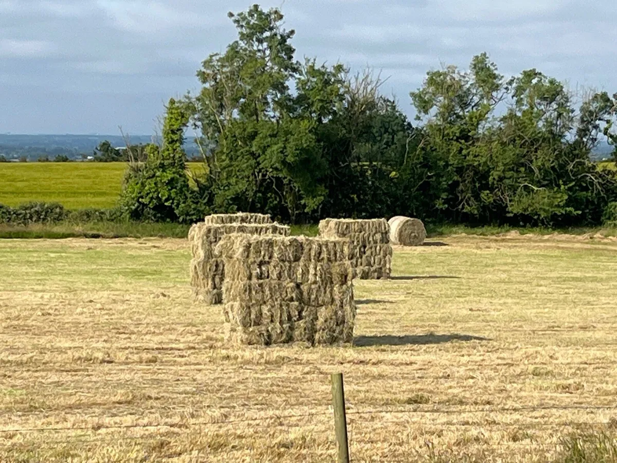 Small square Hay and Round - Image 1