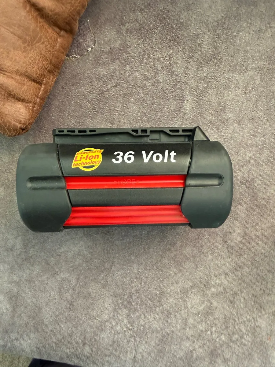 2 Bosch Batteries 36V and Bosch charger - Image 1