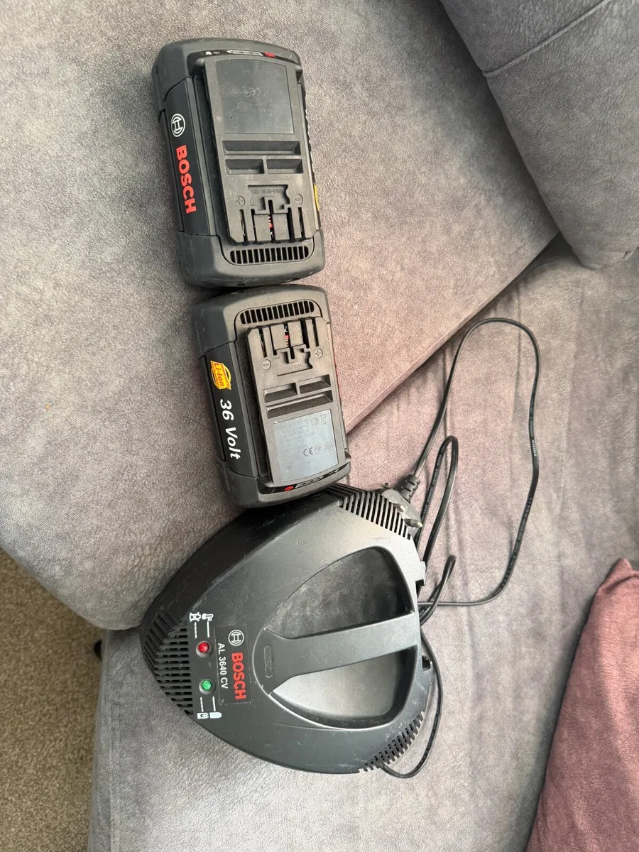 2 Bosch Batteries 36V and Bosch charger - Image 4