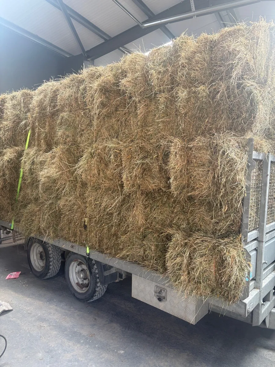 Hay small square bales