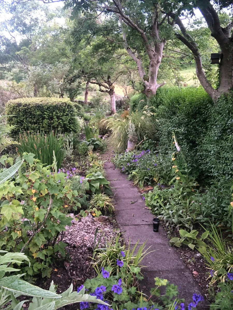 Gardener available - Image 4
