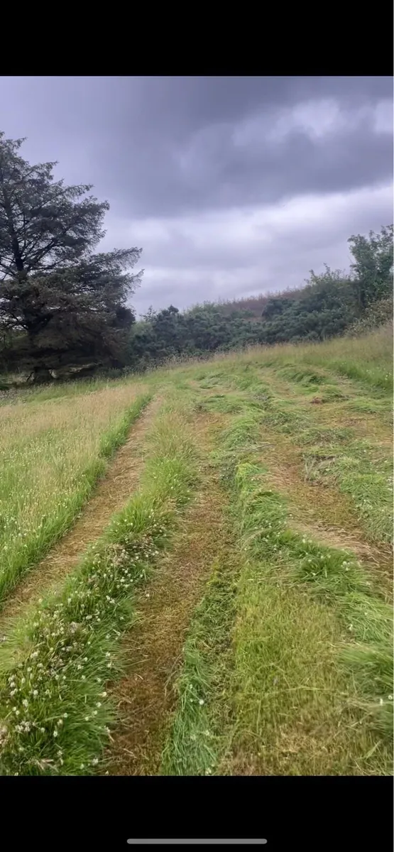Organic Hay for 100 bales left