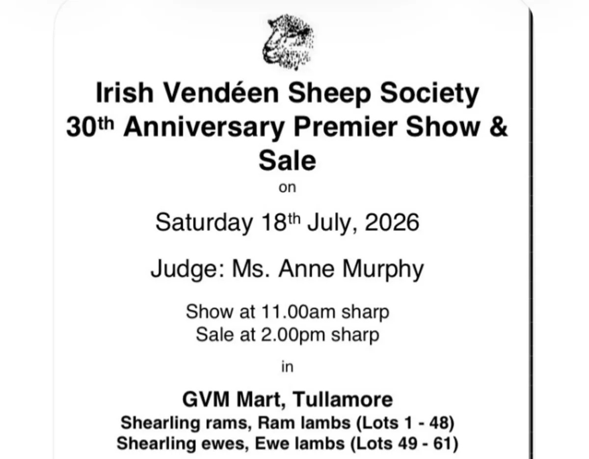 Sheep - Image 1