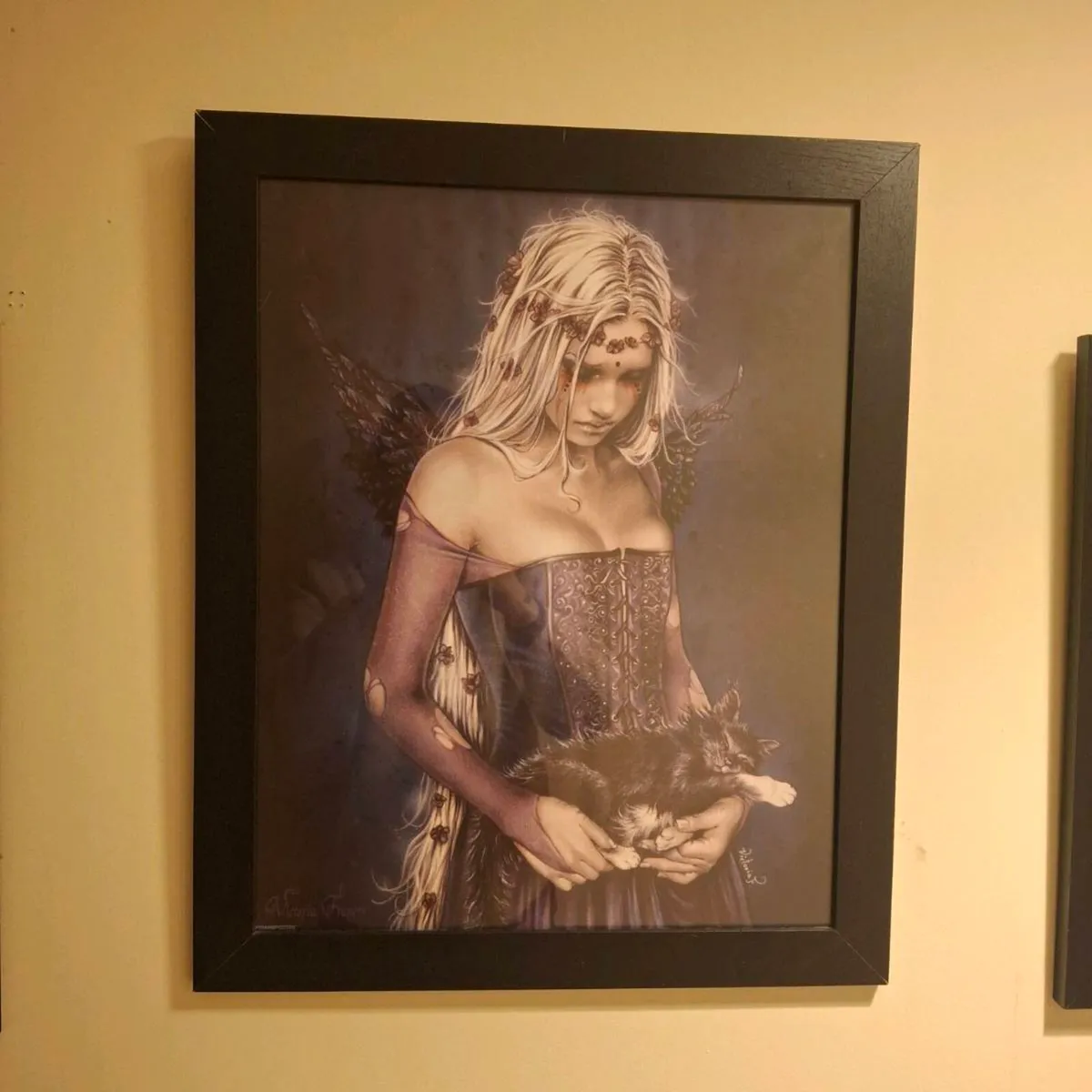 Frames - Image 3