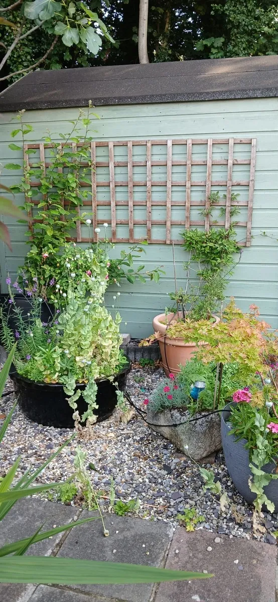 GARDEN SHED - Image 2