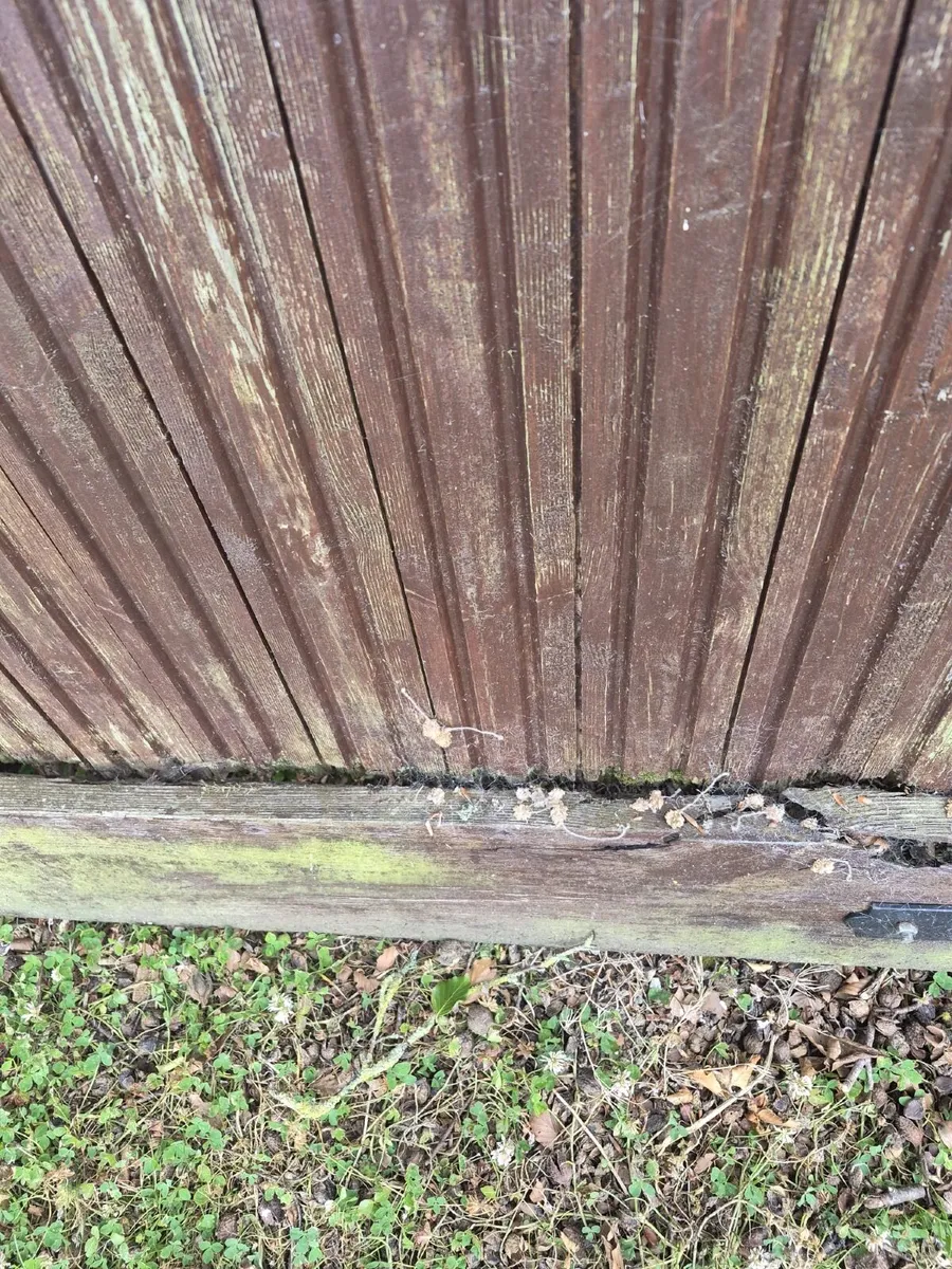 Wooden Gates (in need of repair) - Image 2