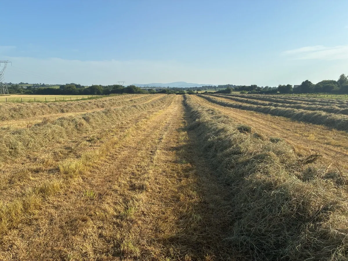 Hay bales - Image 2