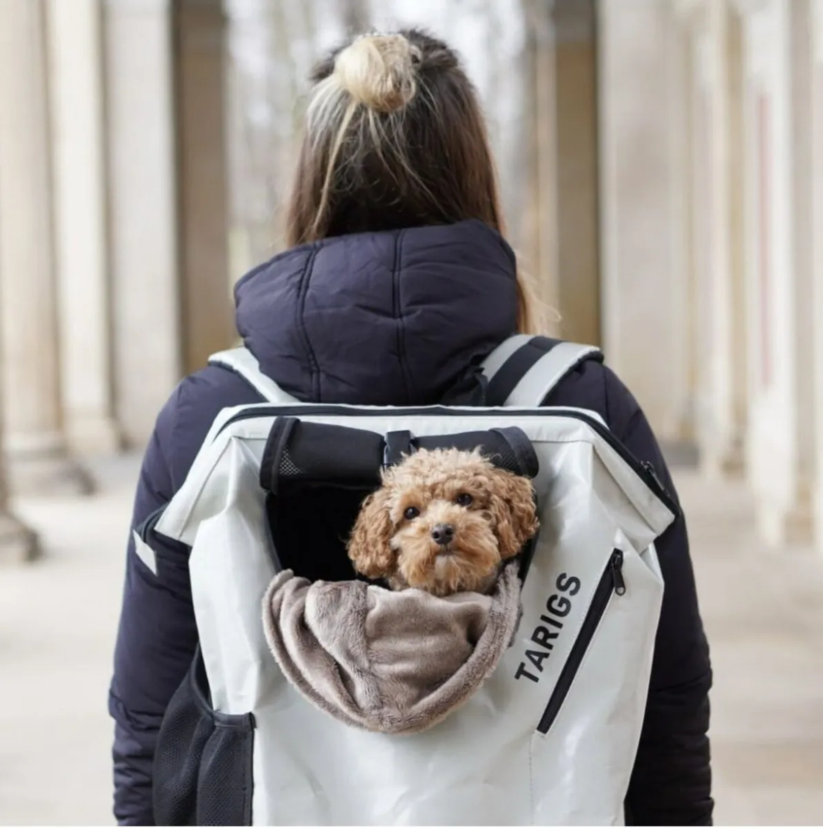BRAND NEW Luxury Backpack for Dog - Image 3