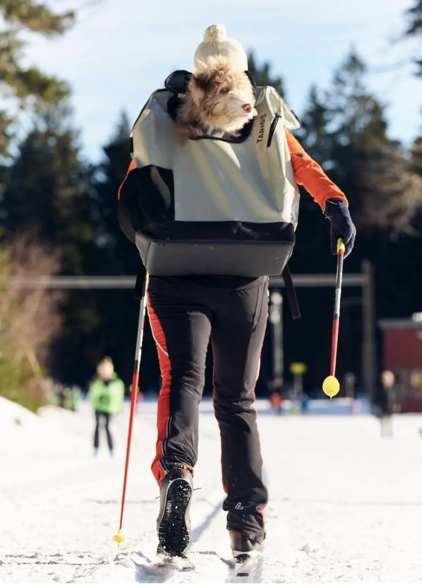 BRAND NEW Luxury Backpack for Dog - Image 4