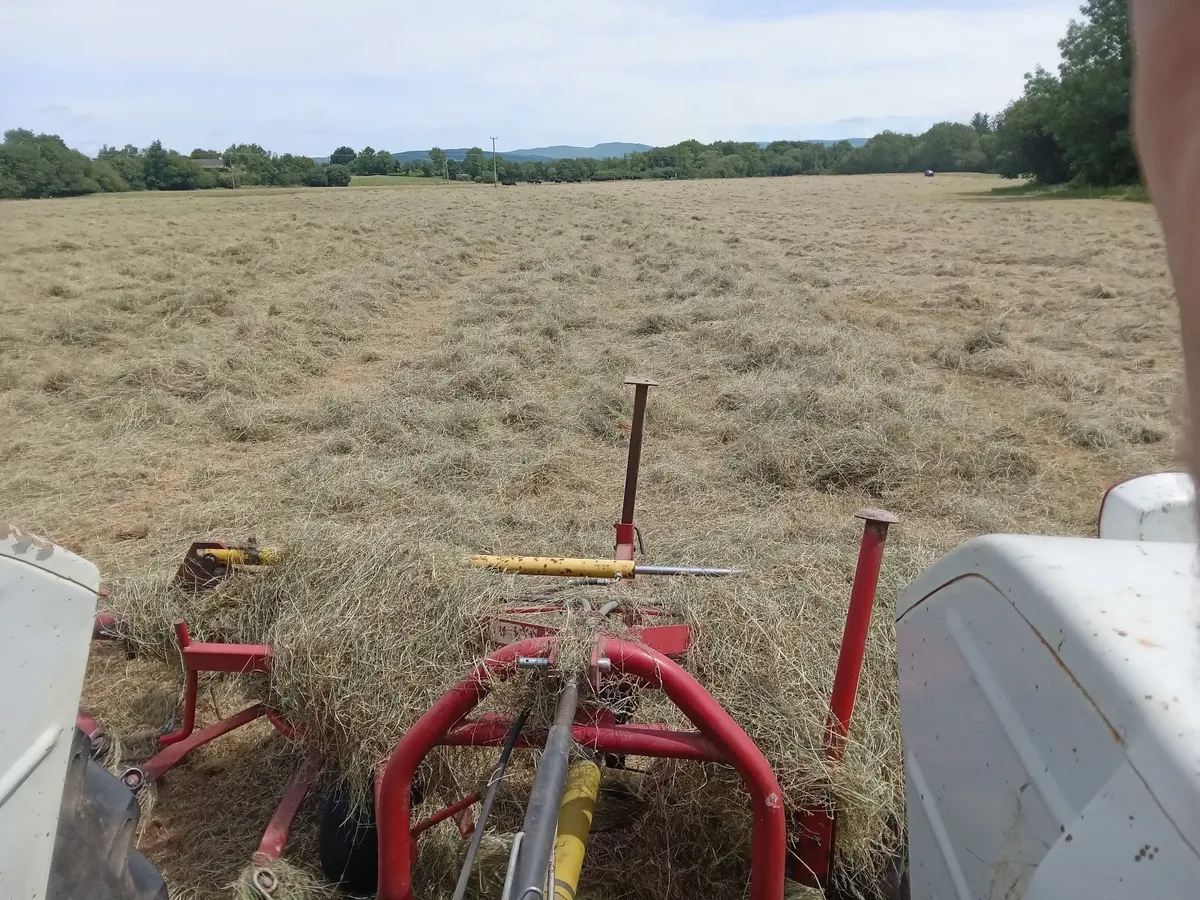 Hay for sale - Image 2
