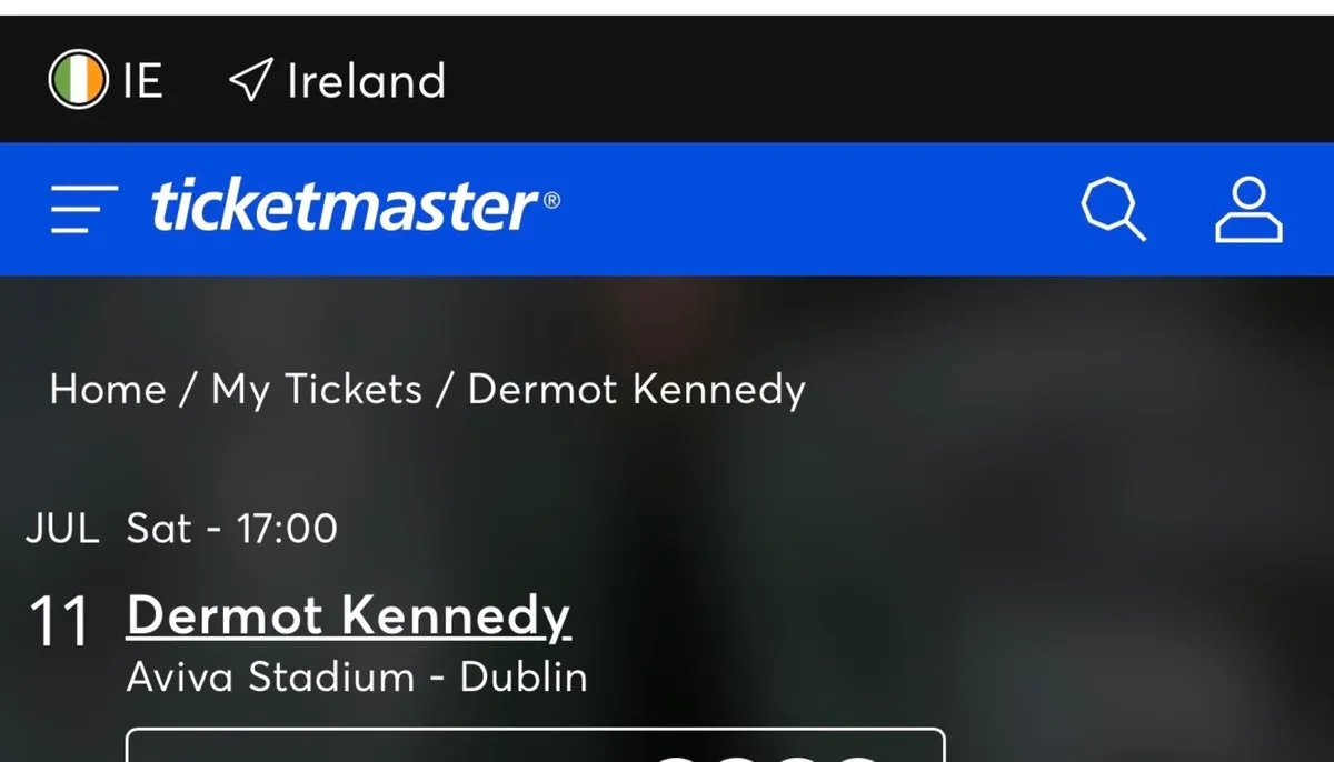 Dermot Kennedy Concert tickets - Image 1
