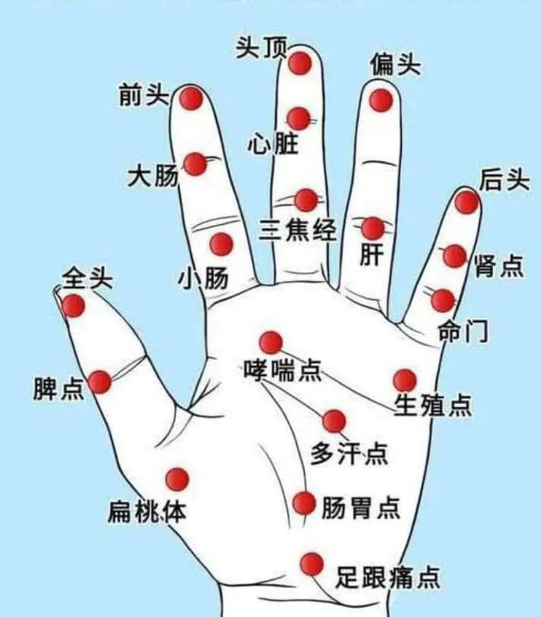 Latus Asian Massage - Image 4
