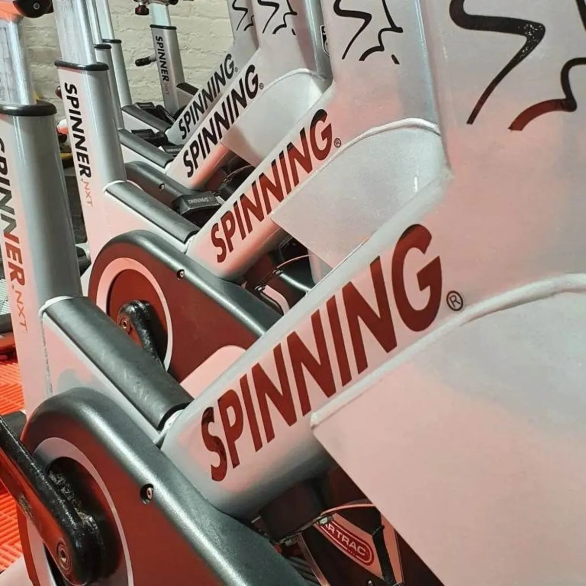 11 x Official Star Trac Spinner NXT Spin Bikes - Image 4