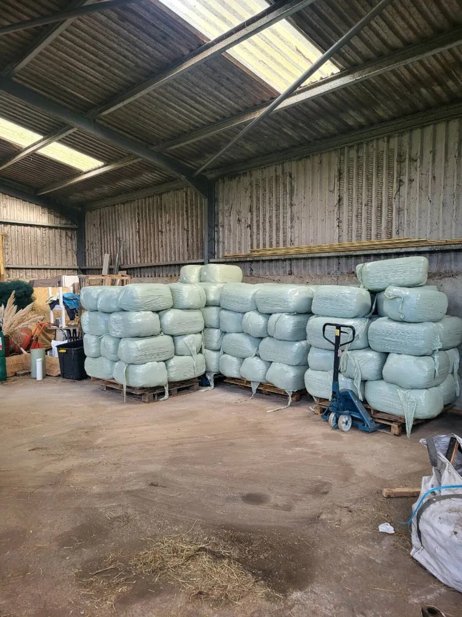 Small square of haylage - Image 1