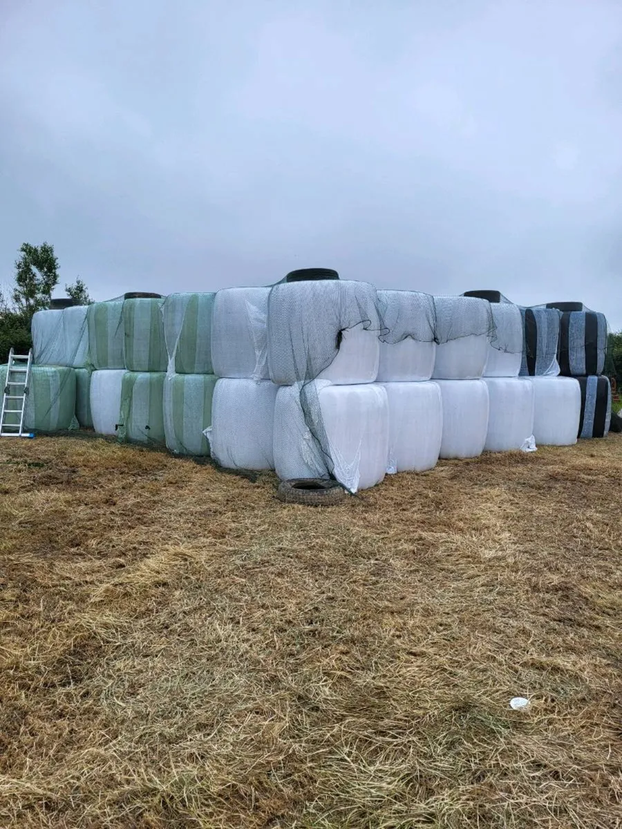 Small square of haylage - Image 2