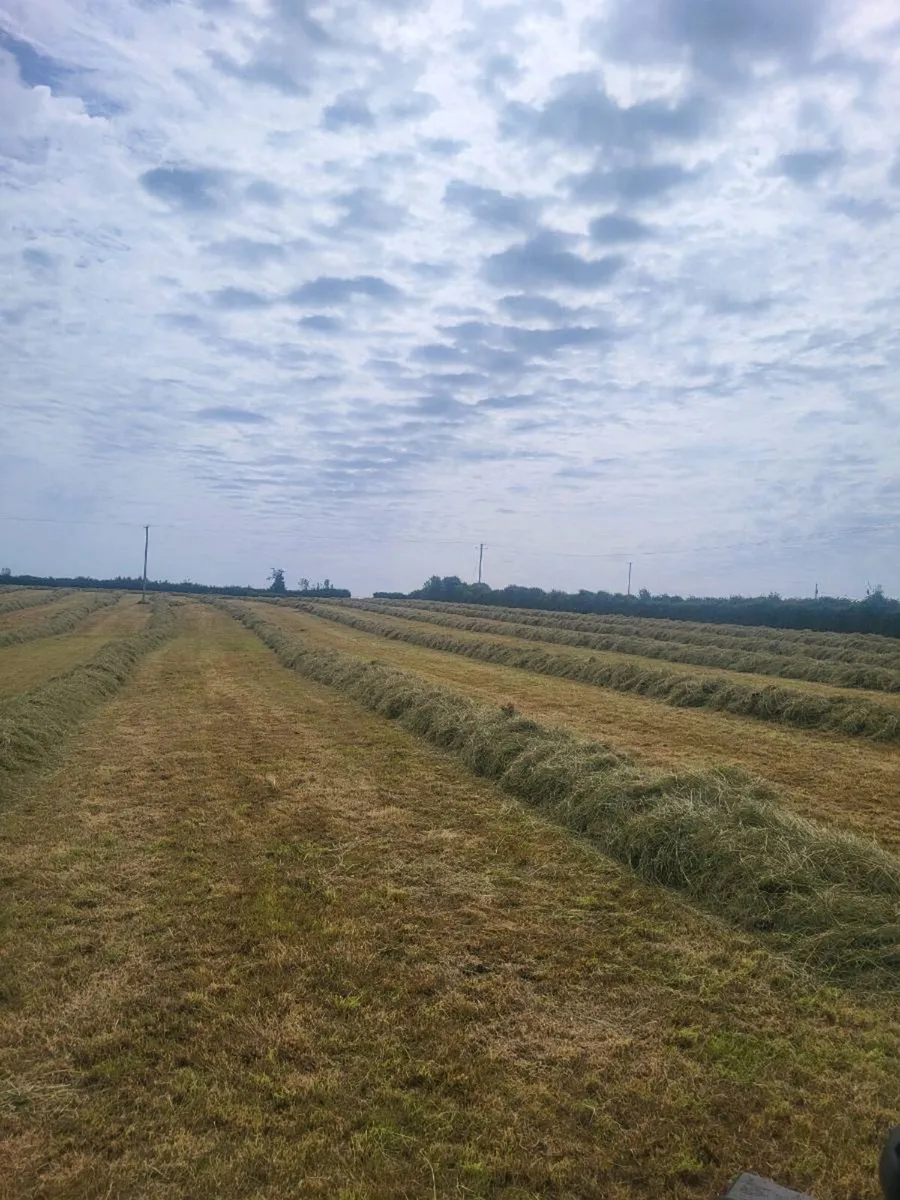 Small square of haylage - Image 3