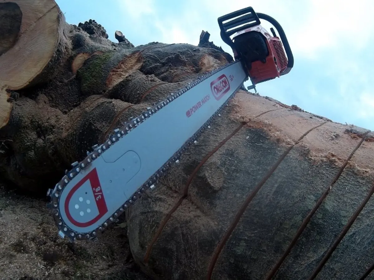 Free Tree Felling & Removal - Image 2
