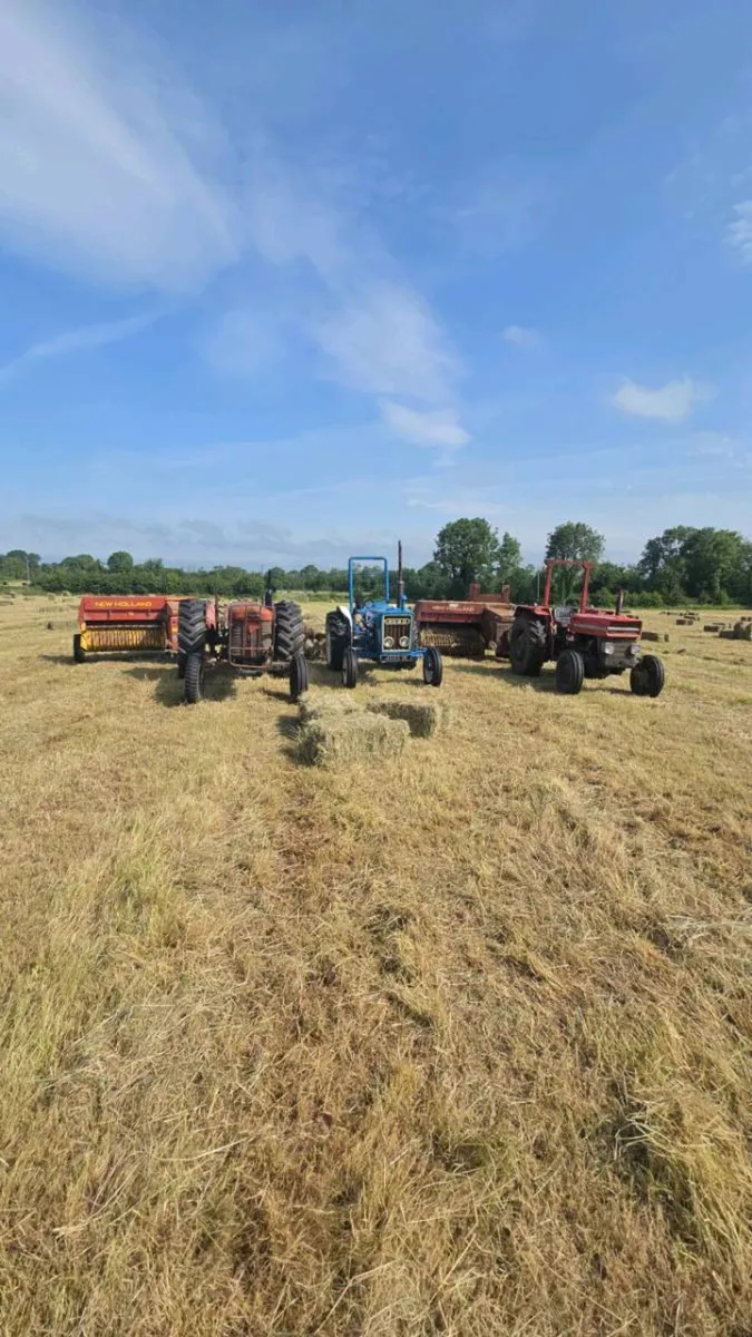 Square bales of Hay - Image 1