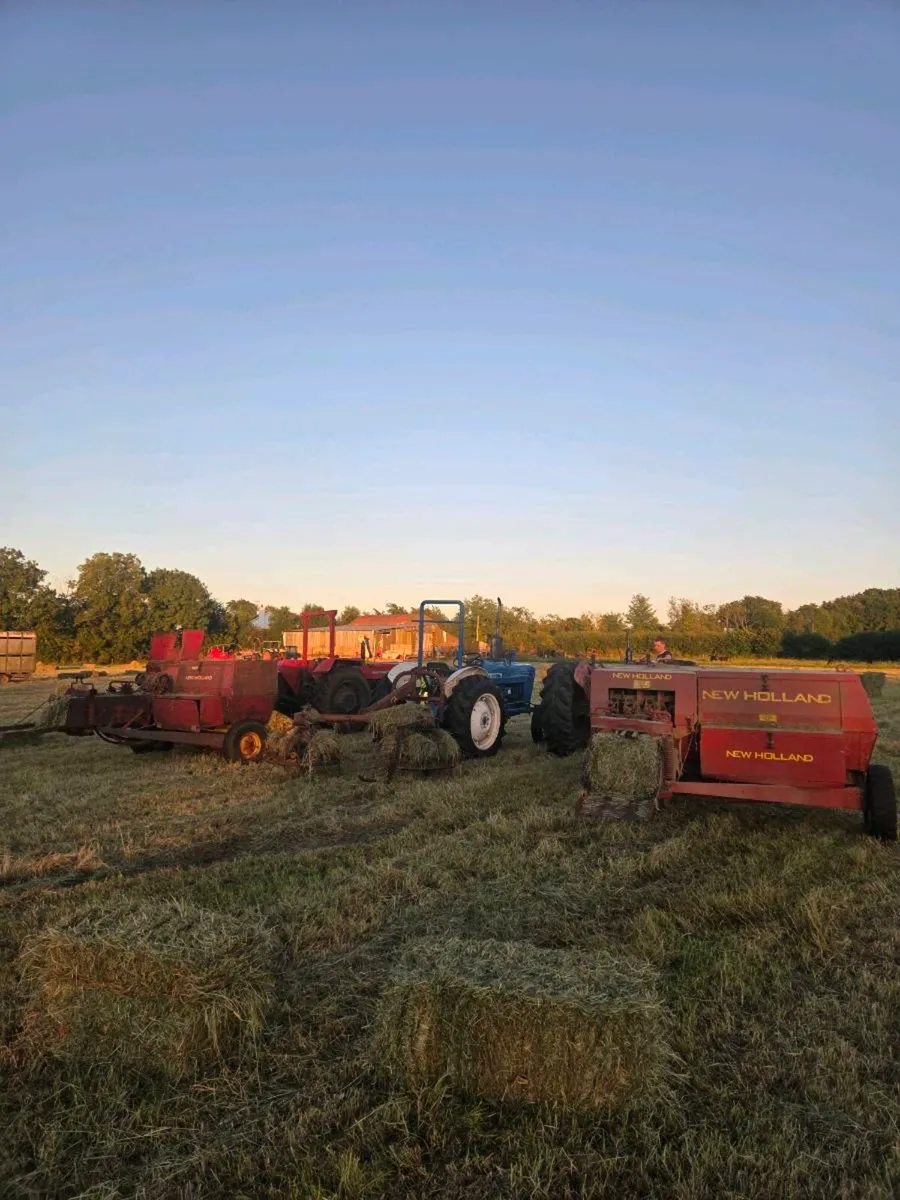 Square bales of Hay - Image 4