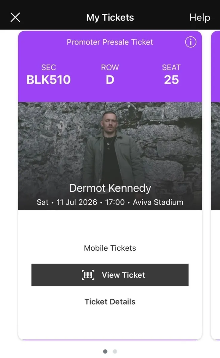 x2 Dermot Kennedy Tickets - Sat 11th July - Image 2