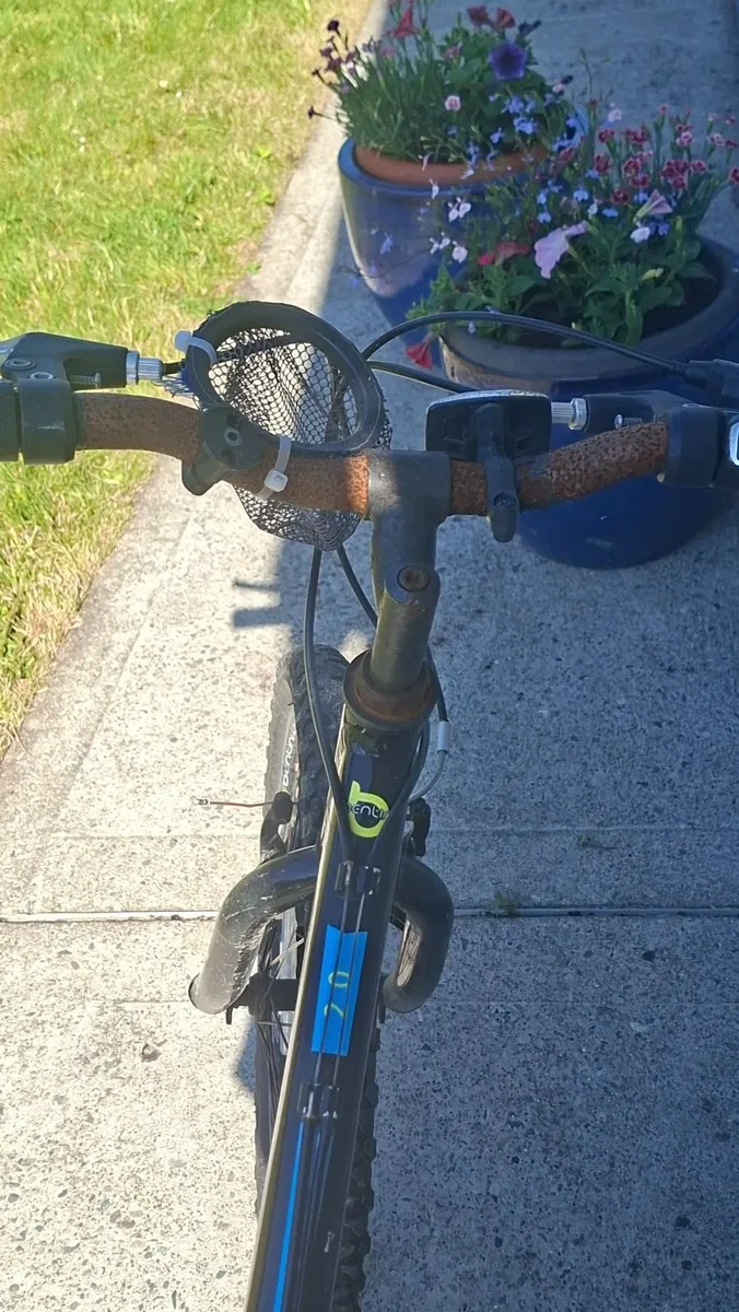 Bike - Image 2