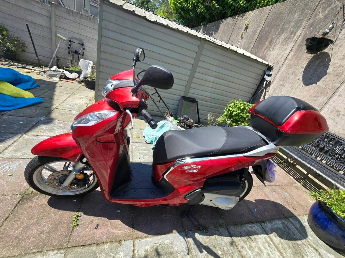 Honda sh - Image 1