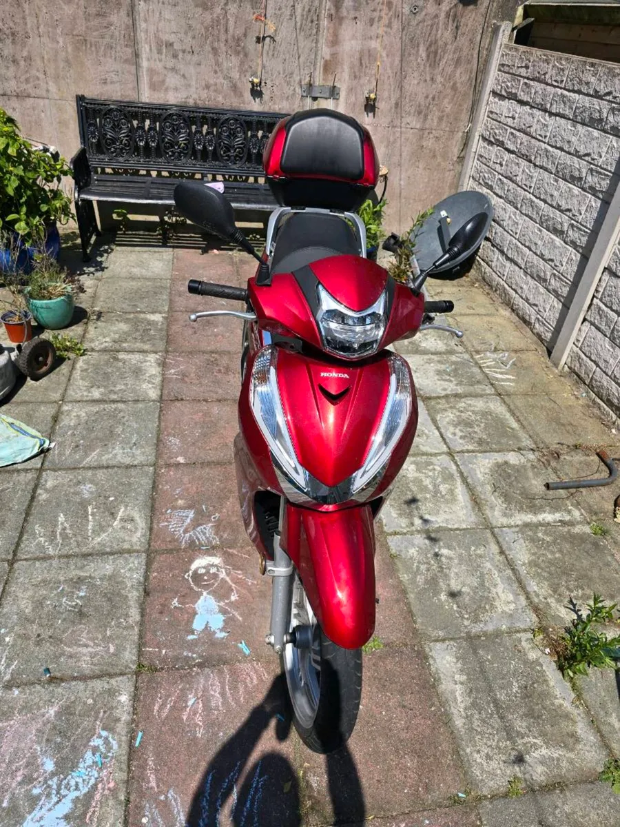 Honda sh - Image 3