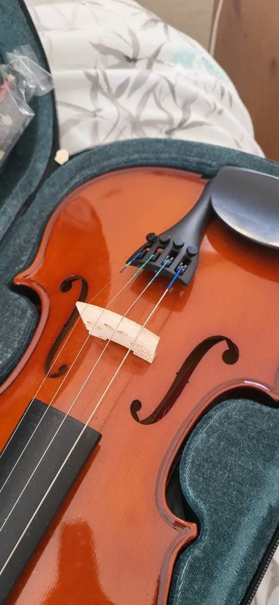 Violin (Primavera 100) - Image 2