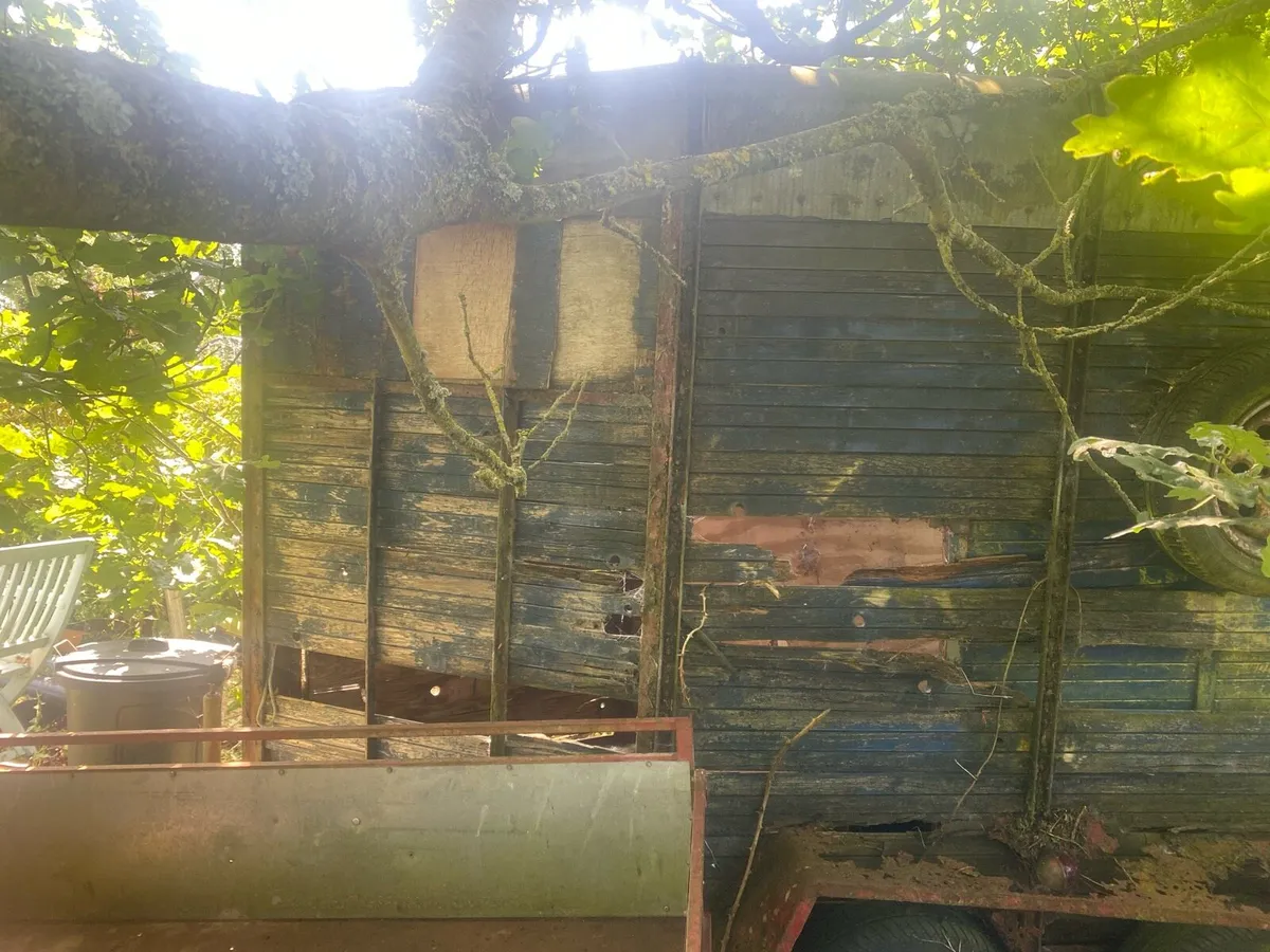 Horse box - Image 4