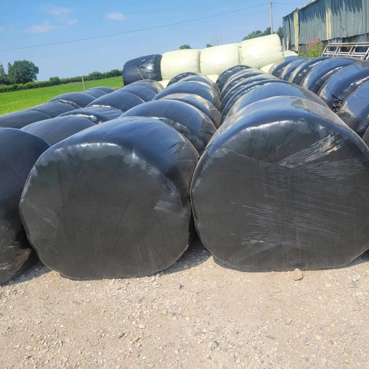 Silage - Image 2