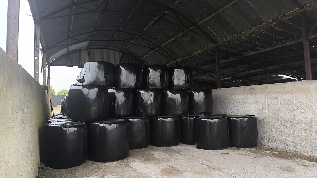 300 bales of freshly made silage - Image 1