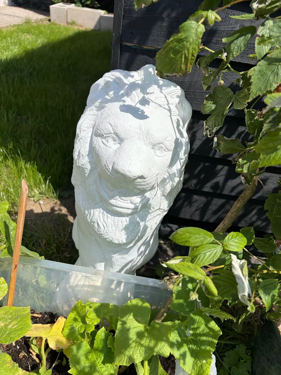 4 x new garden lion concrete statues - Image 3