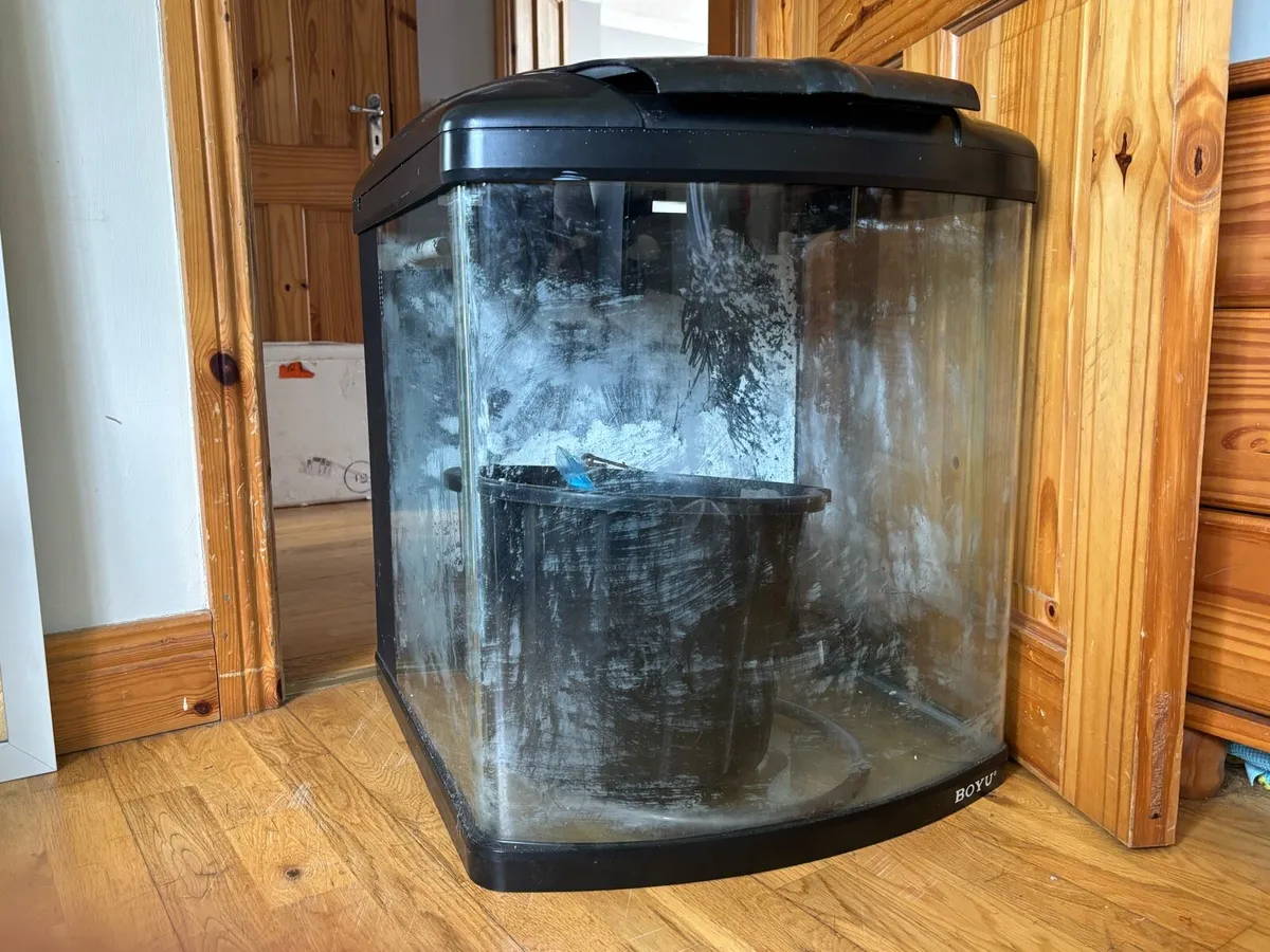 Fish Tank - Image 2
