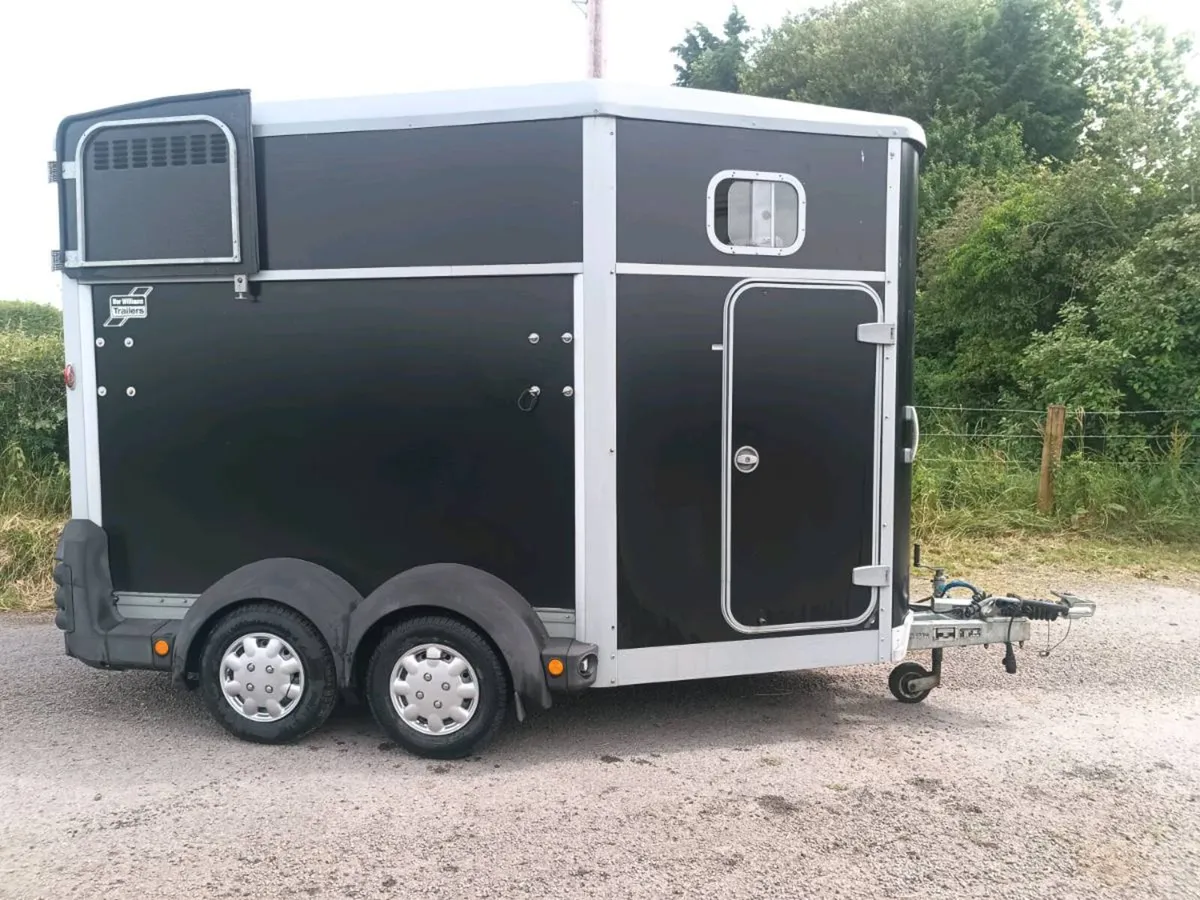 Ifor Williams 511 horsebox. - Image 2