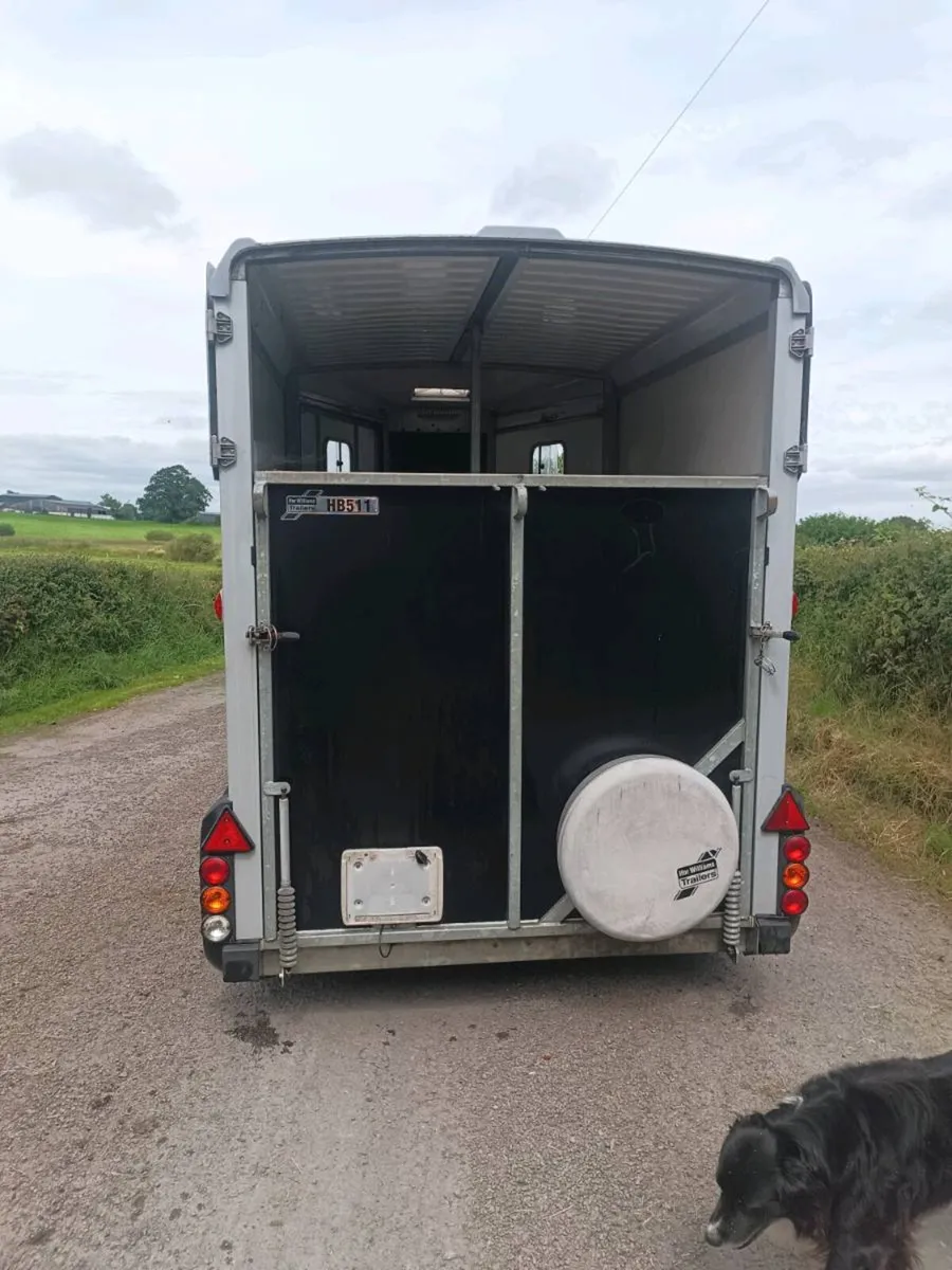 Ifor Williams 511 horsebox. - Image 3