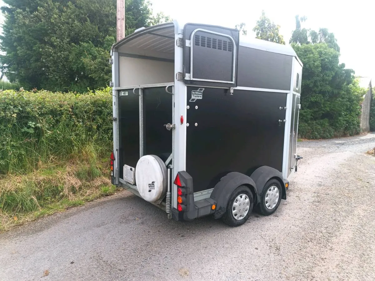 Ifor Williams 511 horsebox. - Image 4