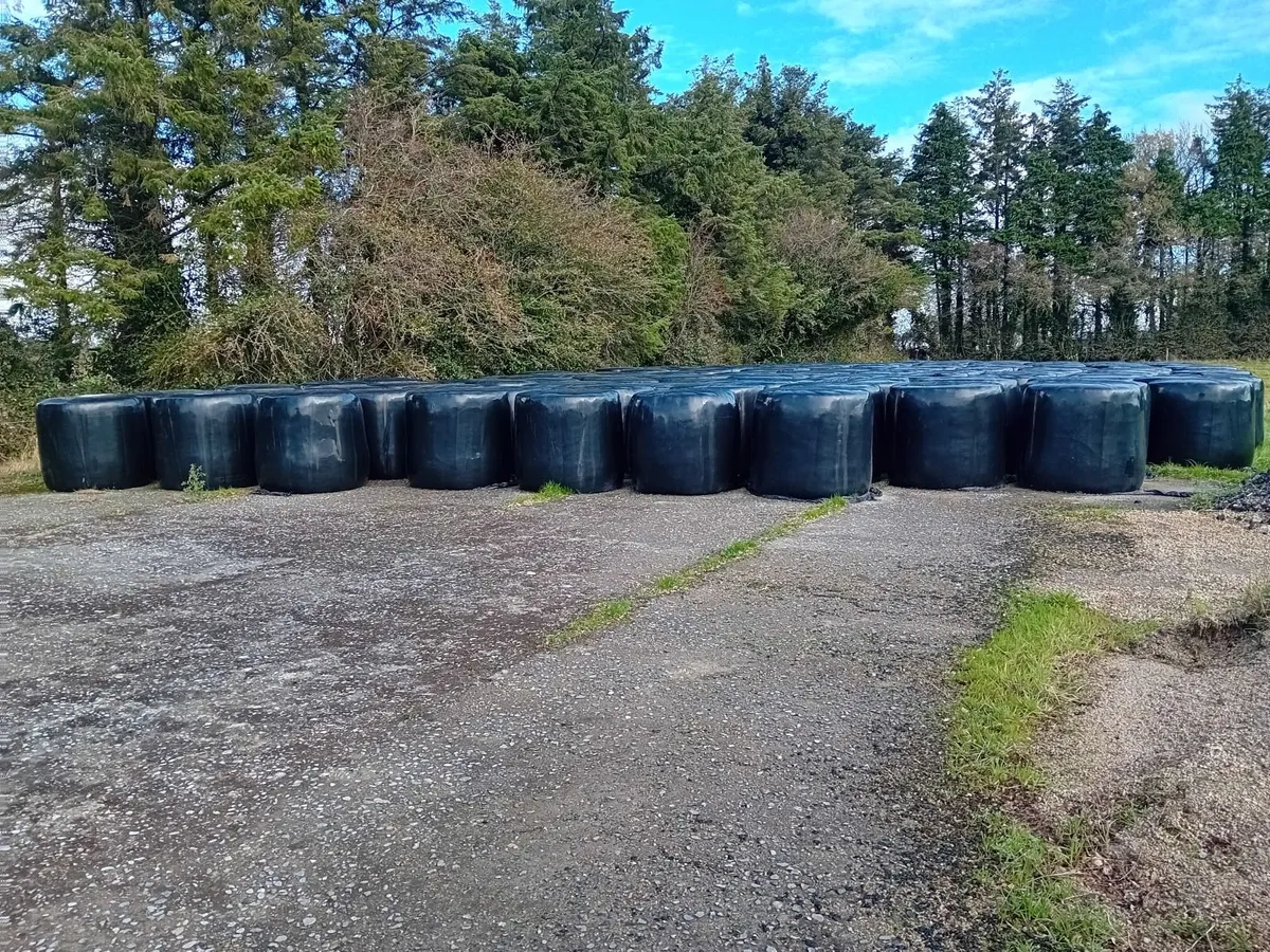 Silage / Hay - Image 1