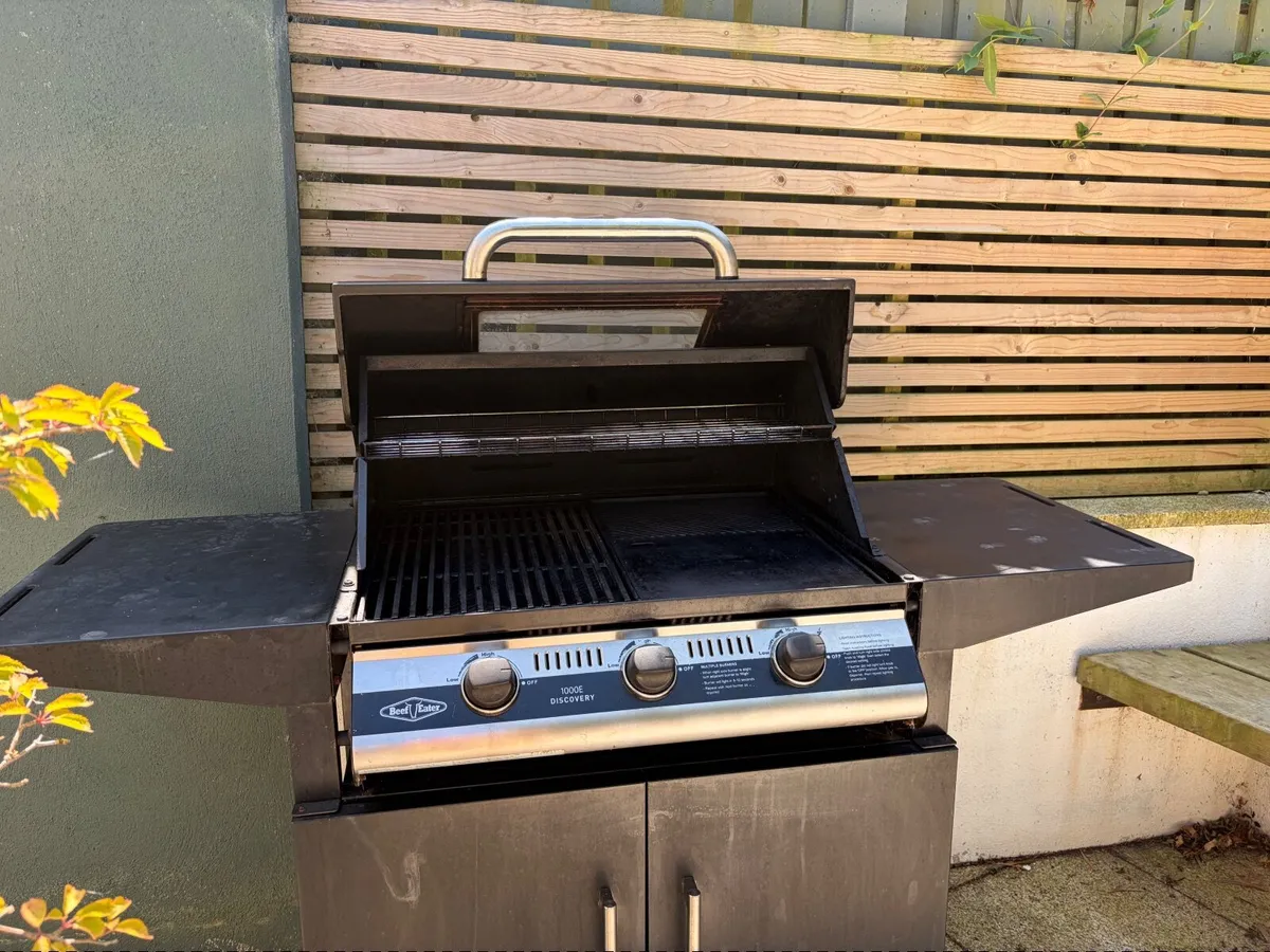 BBQ - Image 4