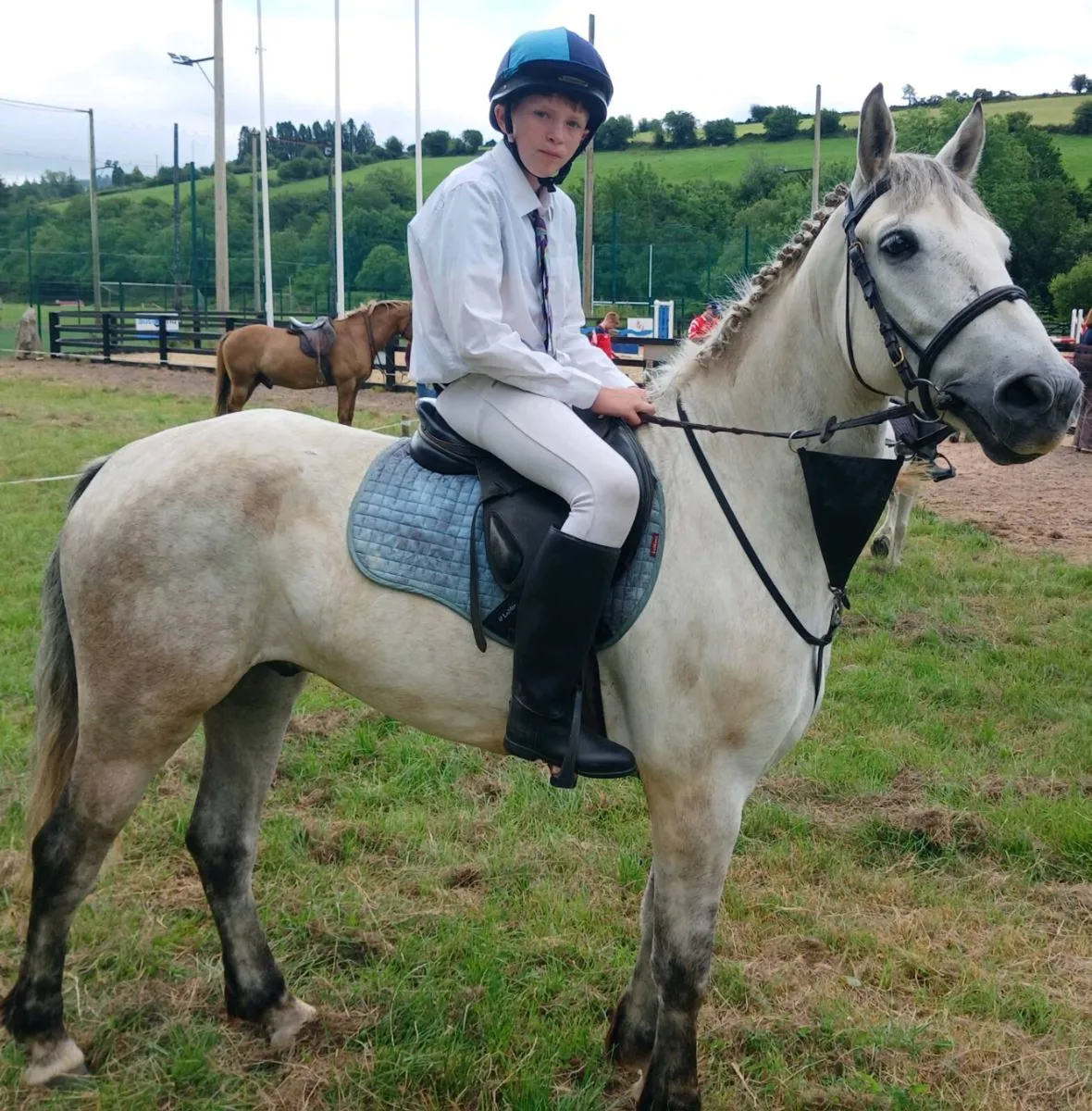 Jumping Pony 14.2 - Image 1