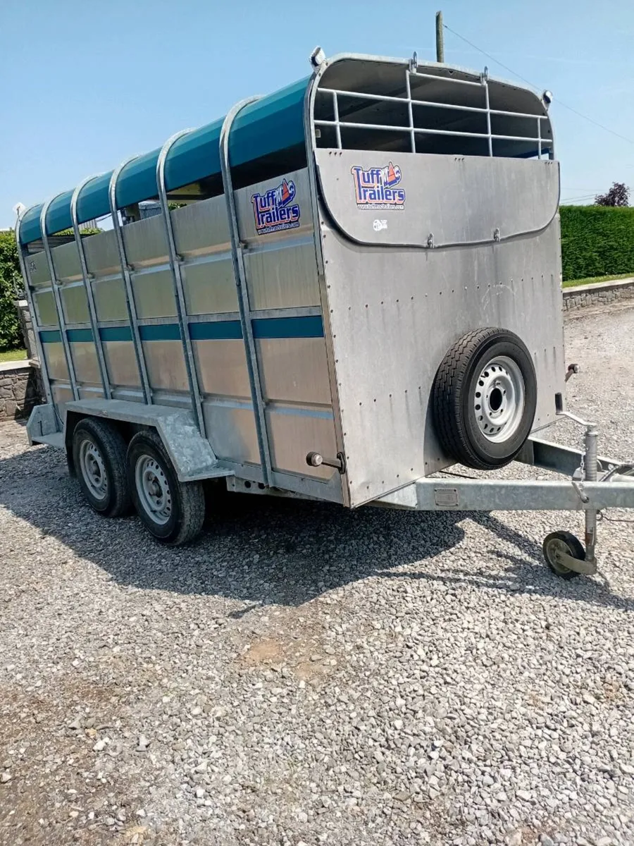 Tuffmac 12×6 cattle trailer - Image 1