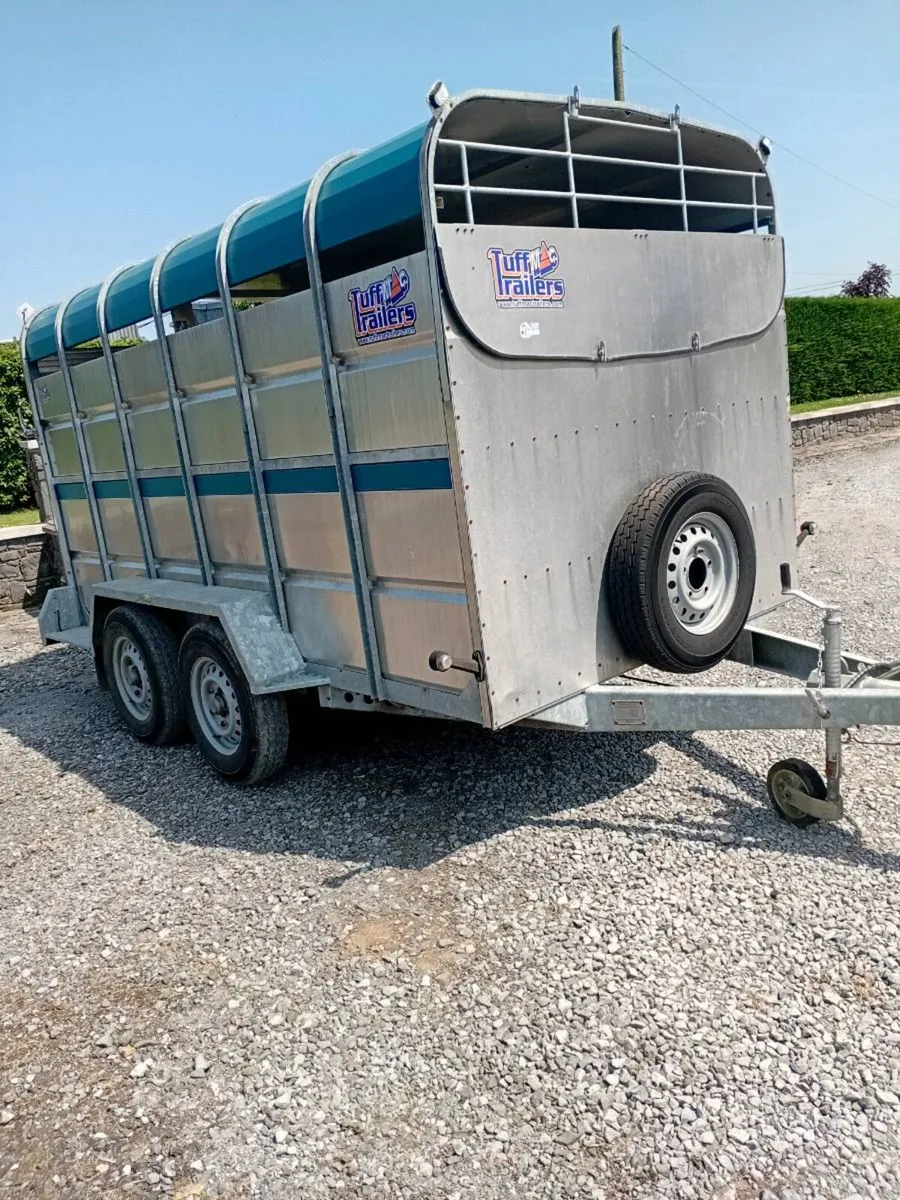 Tuffmac 12×6 cattle trailer - Image 2