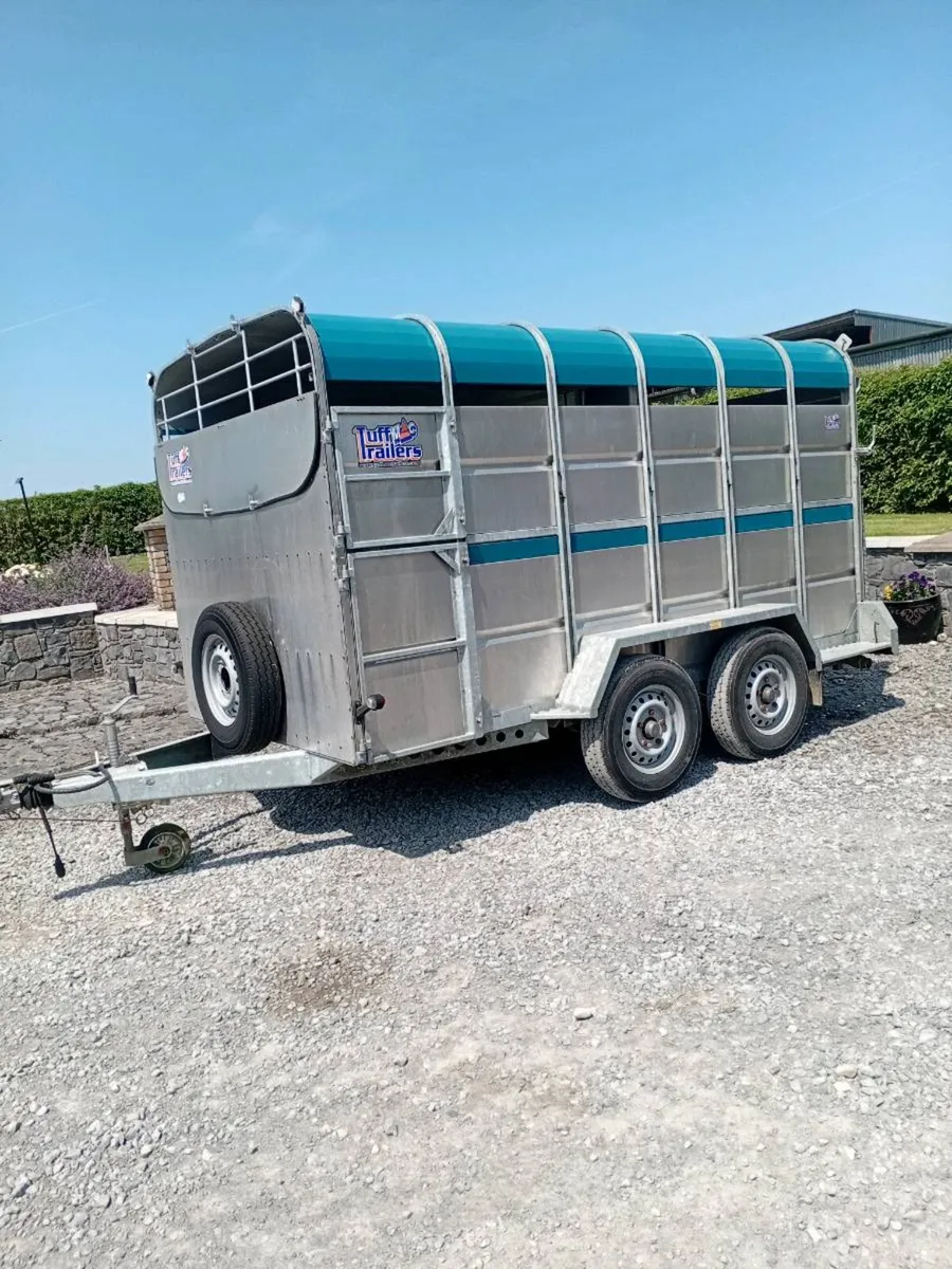 Tuffmac 12×6 cattle trailer - Image 4