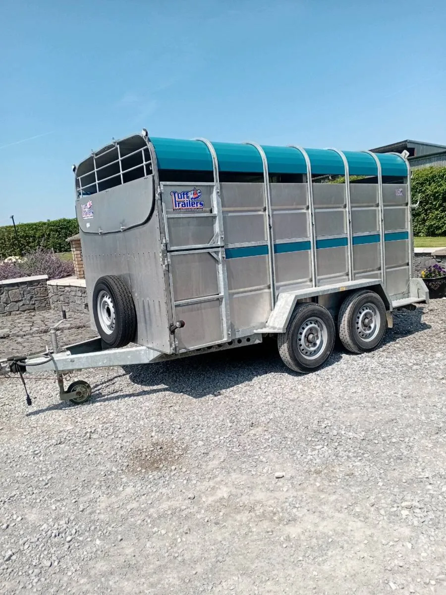 Tuffmac 12×6 cattle trailer - Image 3